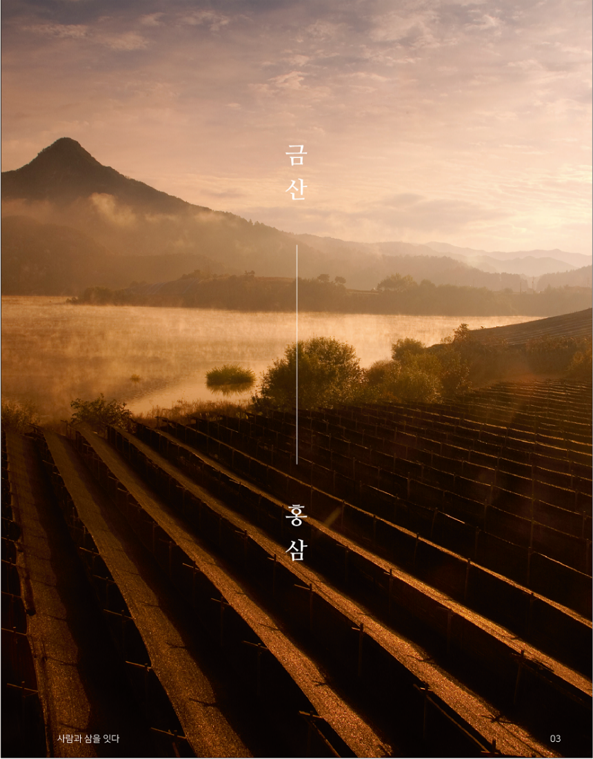7edf669610beb49d14cfe6d700f55a0f_1753152713_8467.png