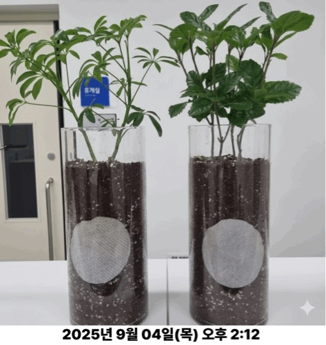 6755f9bf7d8d95e2be6709d1d6b7313b_1781763958_0897_1781764802.gif