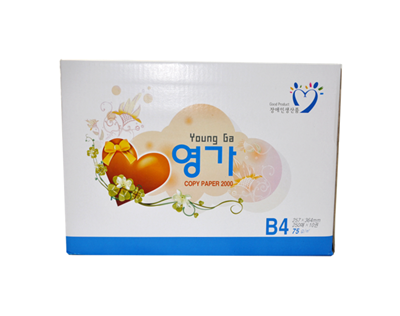 복사용지 B4,75g