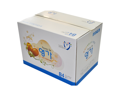 복사용지 B4,75g