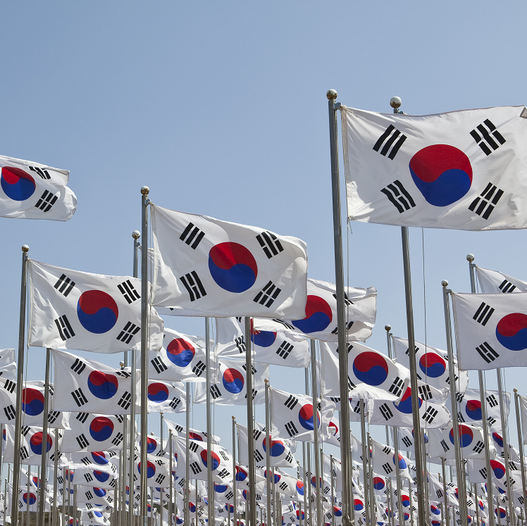 각종 기(태극기, 정부기, 관공서기 등)